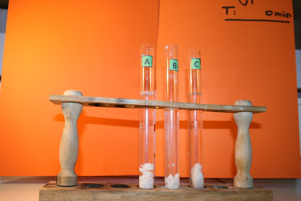 gal/LES_CINQUIEMES/ACTIVITE DIGESTION IN VITRO/Groupe_04/Groupe04_T_00h00min/Groupe04_T_00h_00min_16.JPG